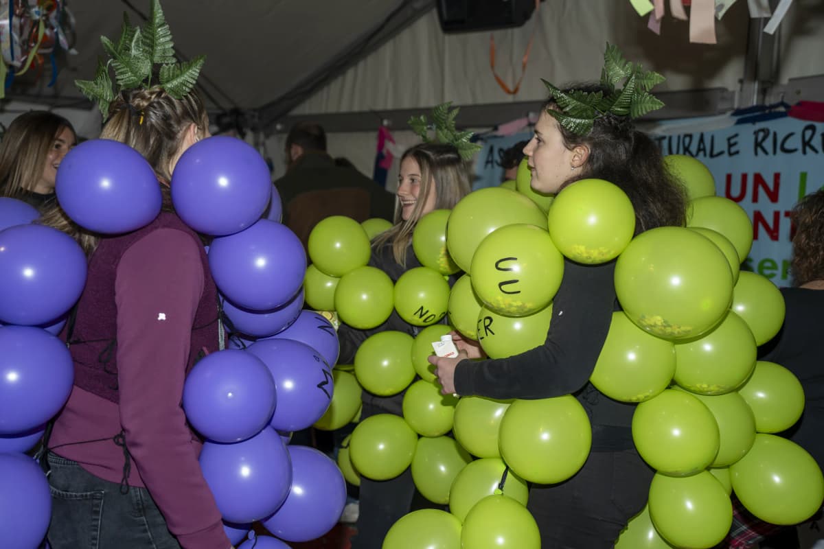 Due persone in costume da grappolo d'uva, fatto di palloncini viola e verdi, al Carnevale Faidero