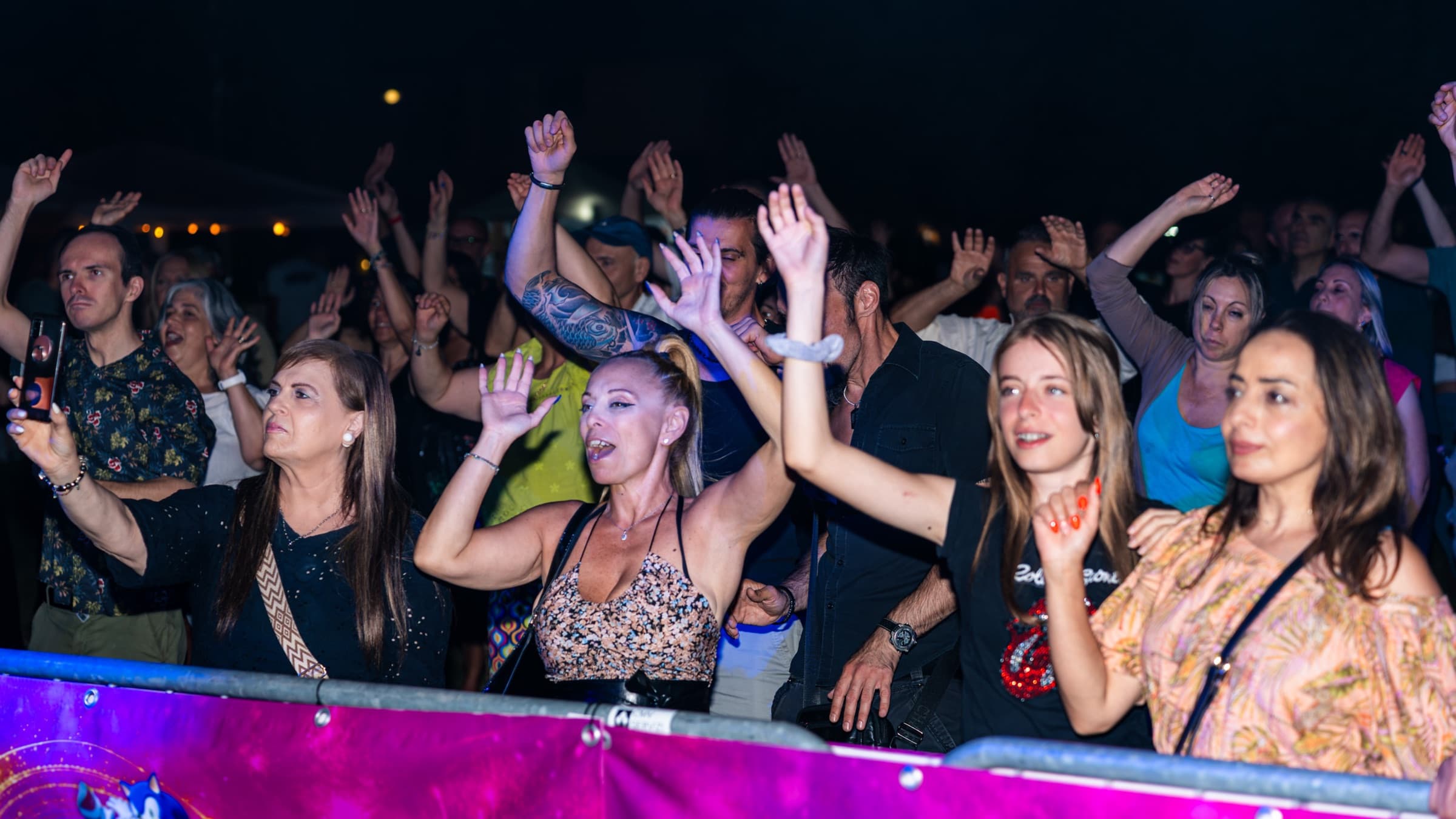 Il pubblico balla ed esulta a mani alzate durante il concerto Meteora24 a Ferrara