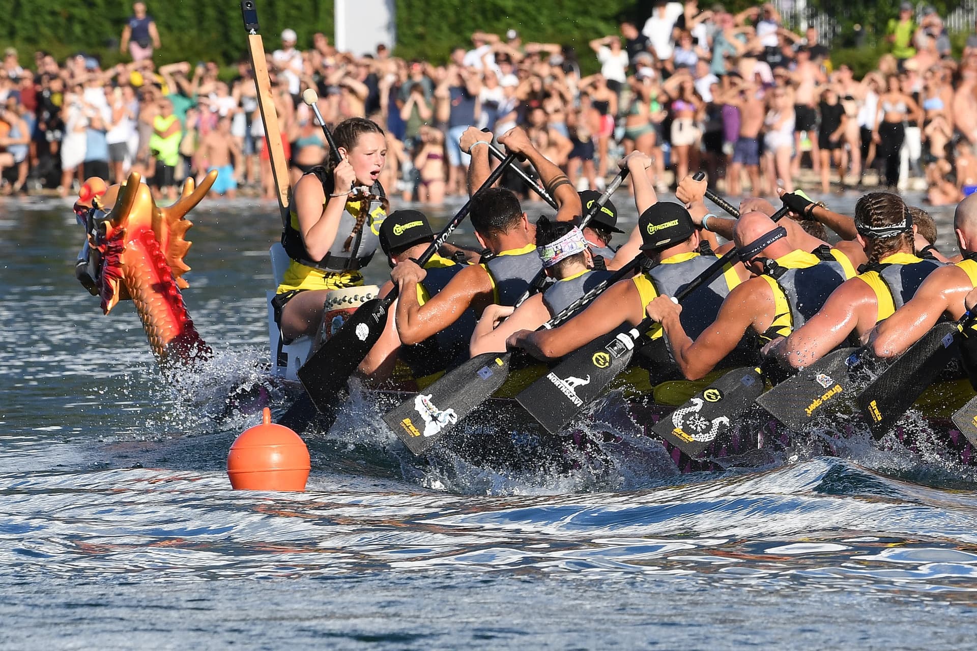 Equipaggio di dragon boat in piena competizione a remi in controluce durante il Palio dei Draghi