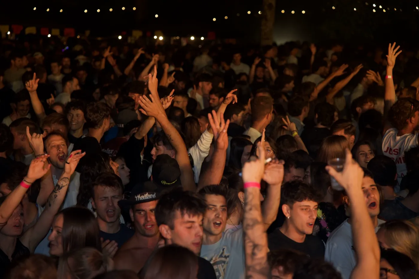 La folla della festa con le braccia alzate, di sera