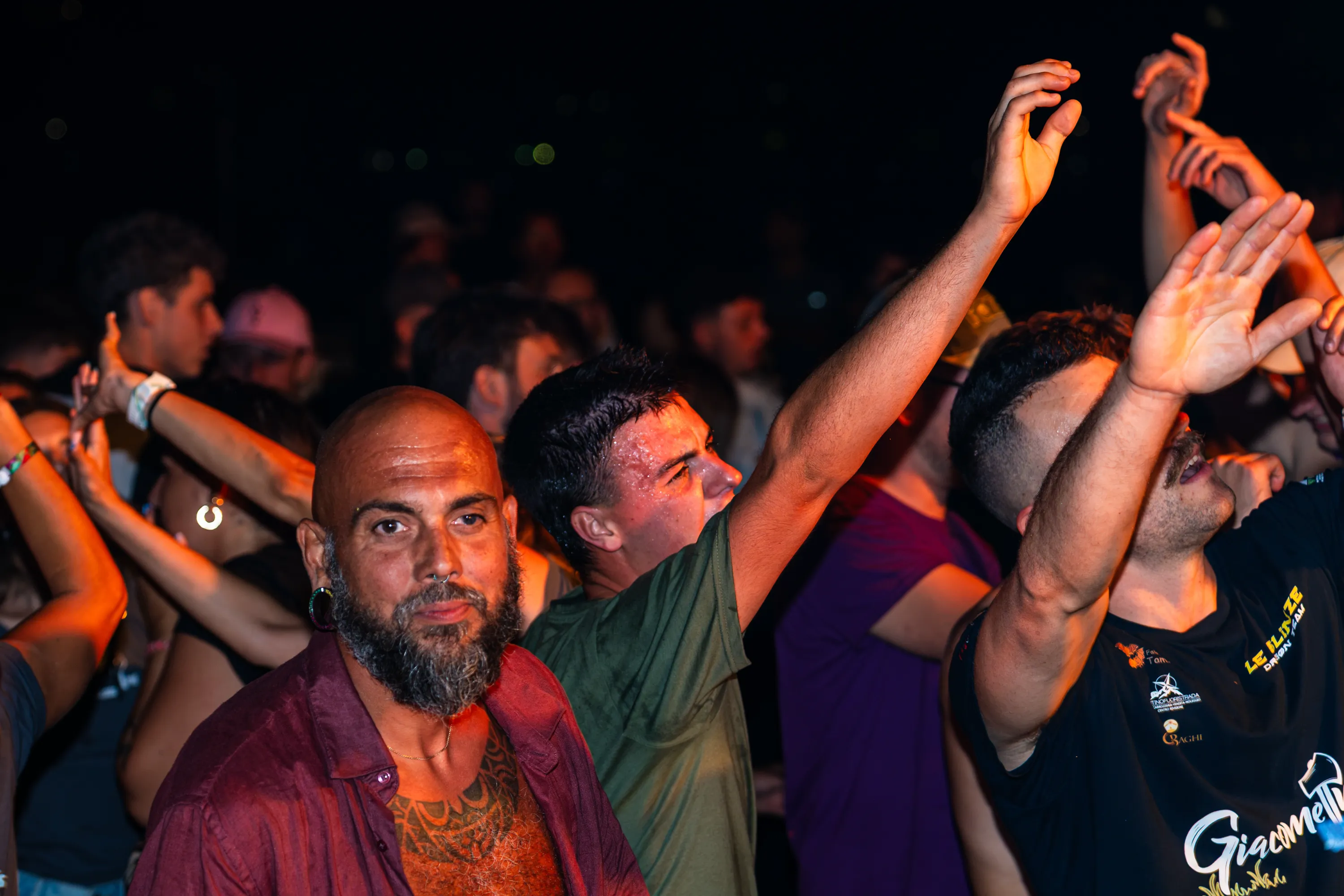 La folla con le braccia alzate durante la serata
