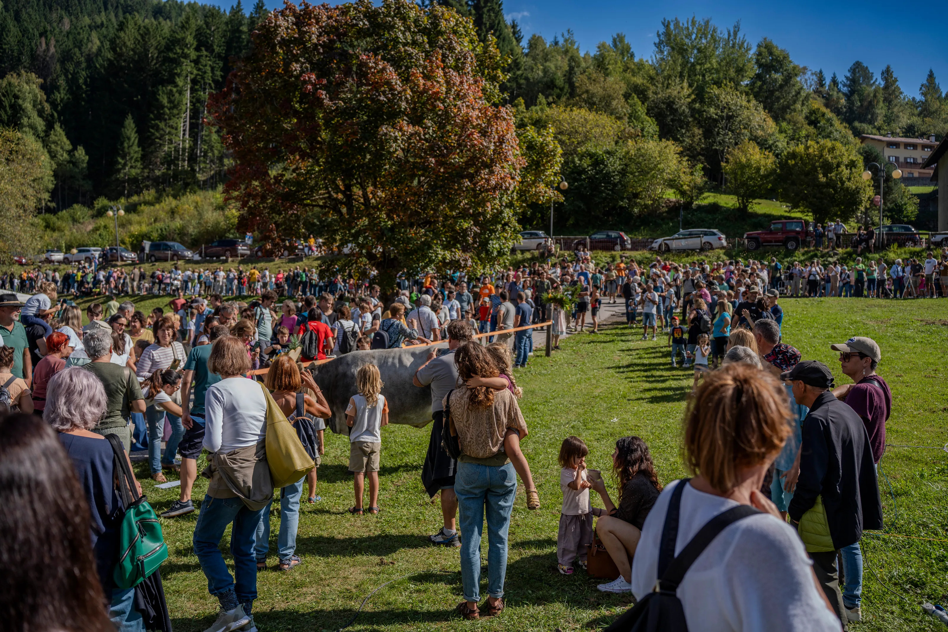 Persone sedute sul prato durante la festa