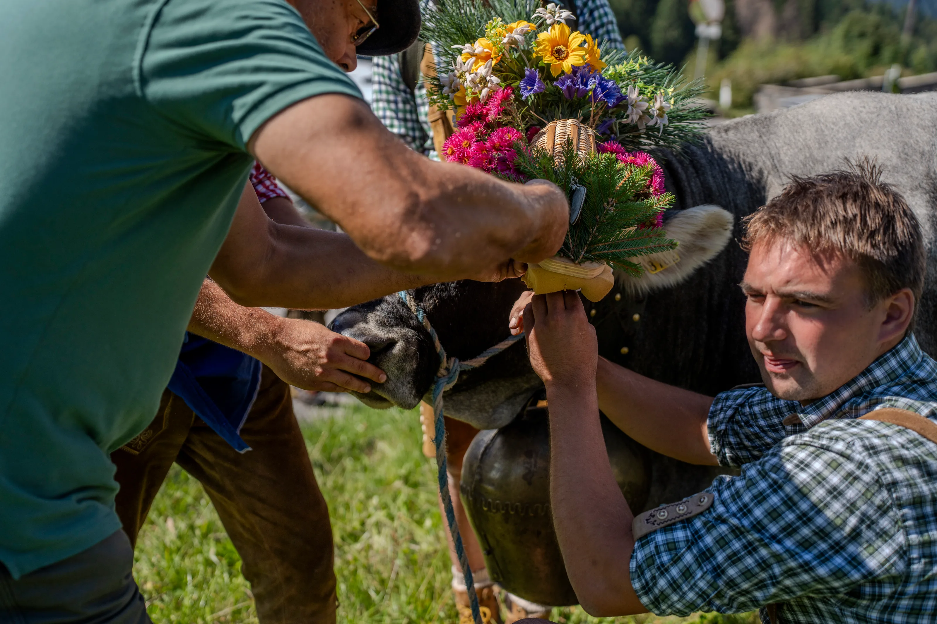Le mani di un uomo che compongono un mazzo di fiori colorati per l'ornamento