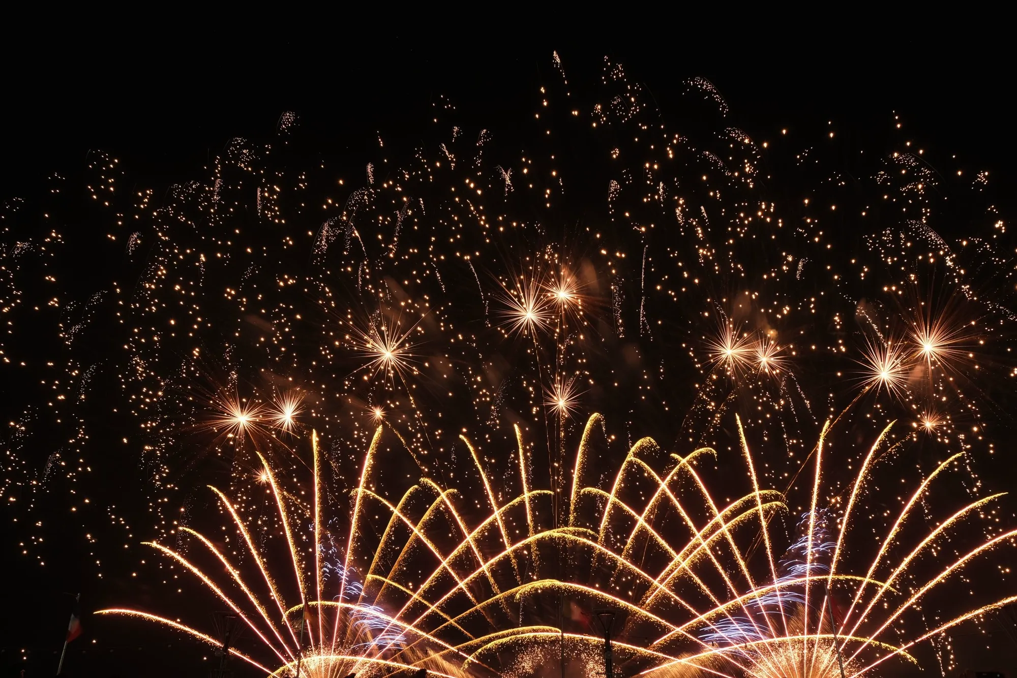 Fuochi d'artificio dorati che si aprono nel cielo notturno