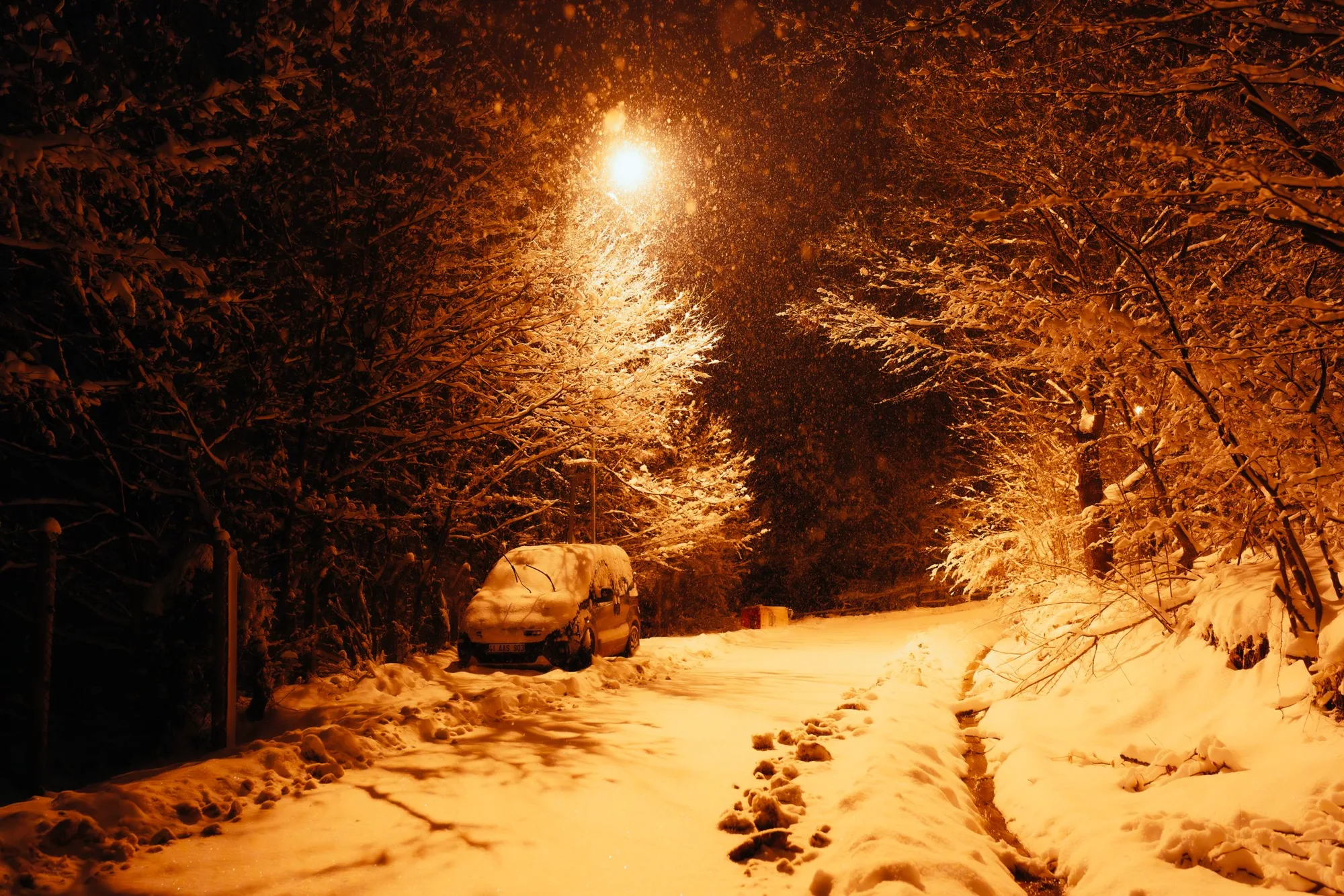 Una strada innevata di notte, illuminata da una luce calda fra gli alberi