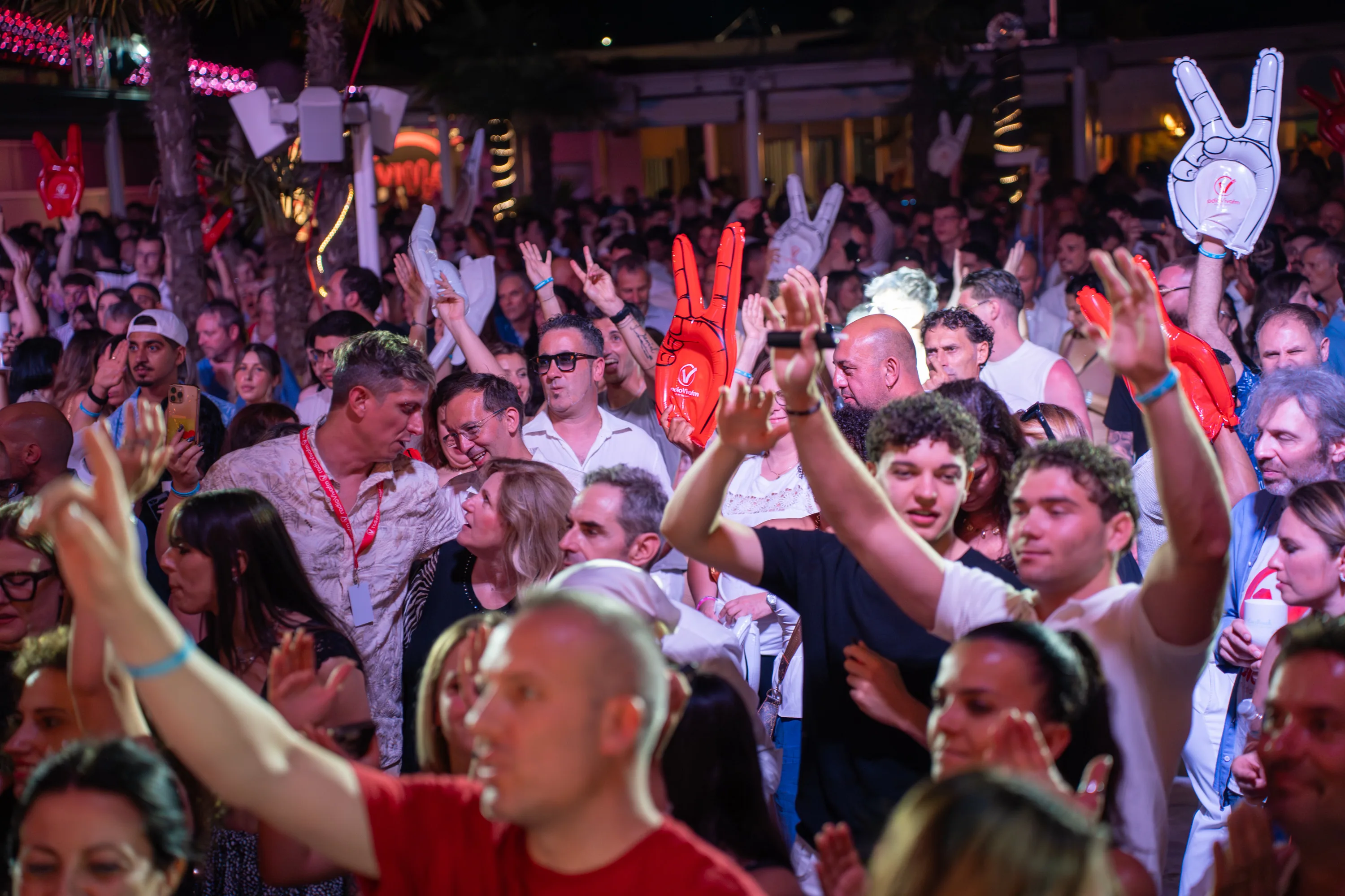 Le mani del pubblico alzate verso il palco