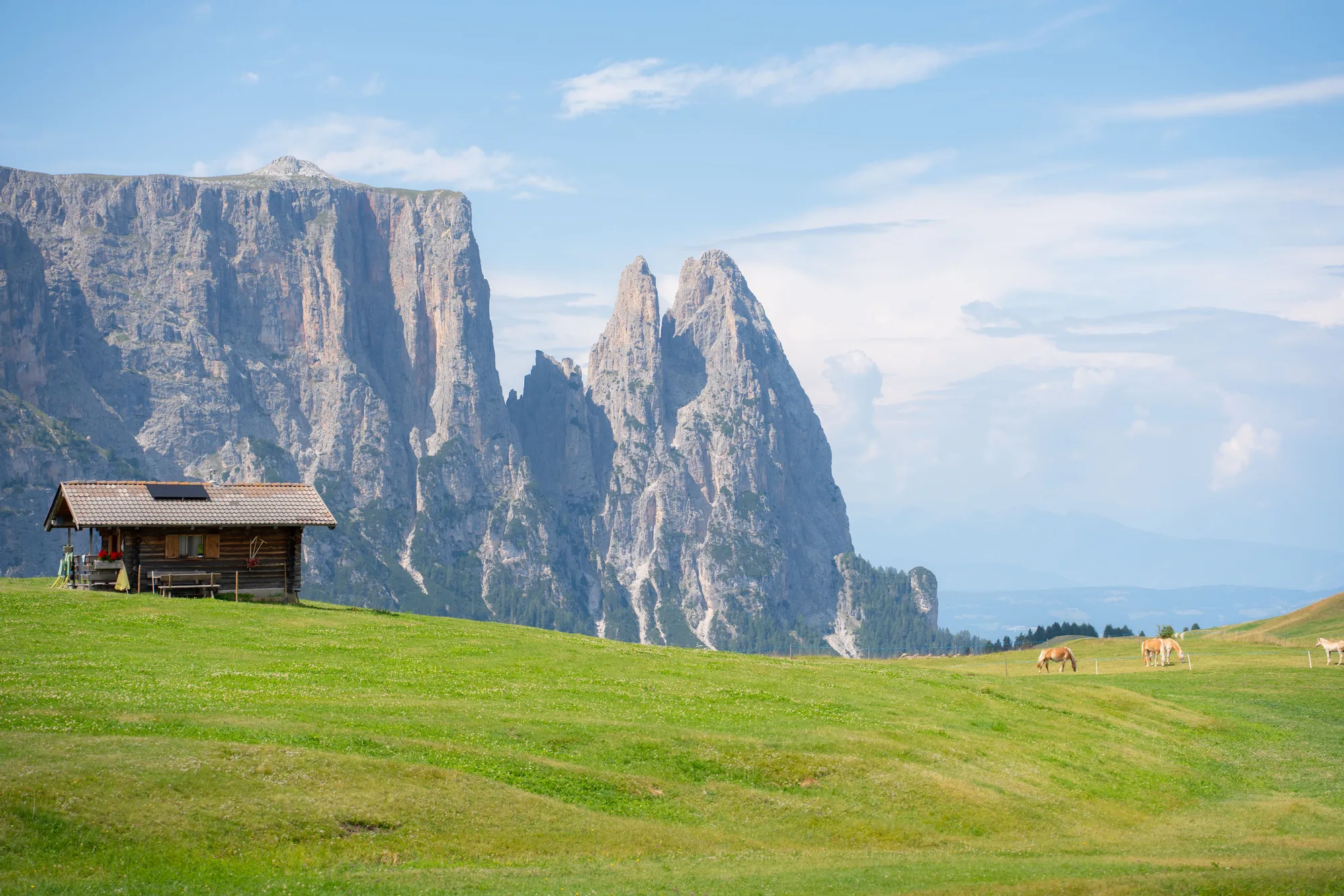 L'Alpe di Siusi con i pascoli verdi e le cime delle Dolomiti