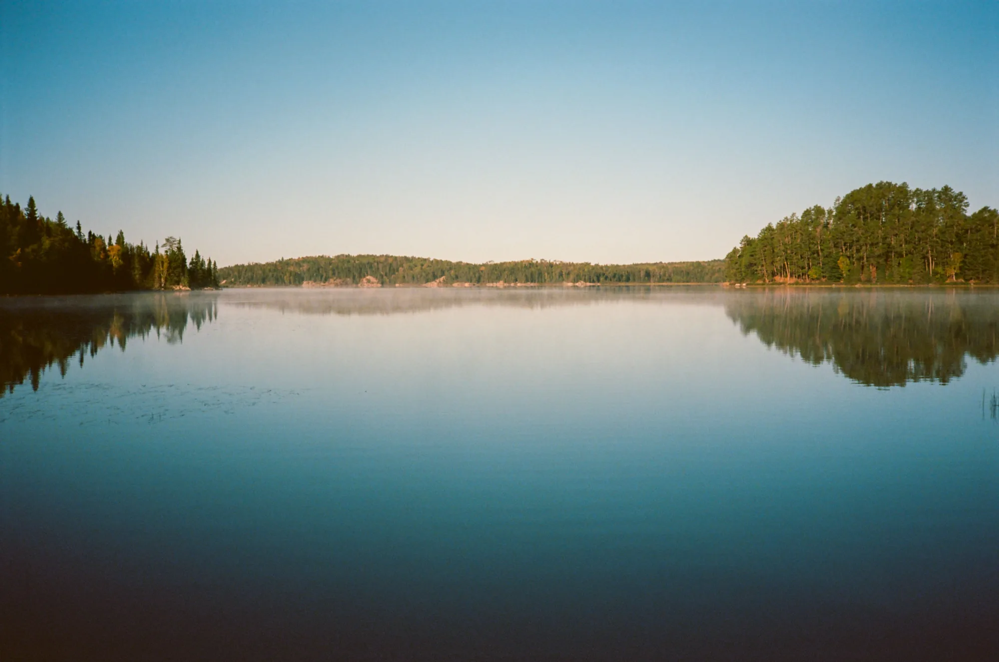 Un lago che riflette il bosco all'alba