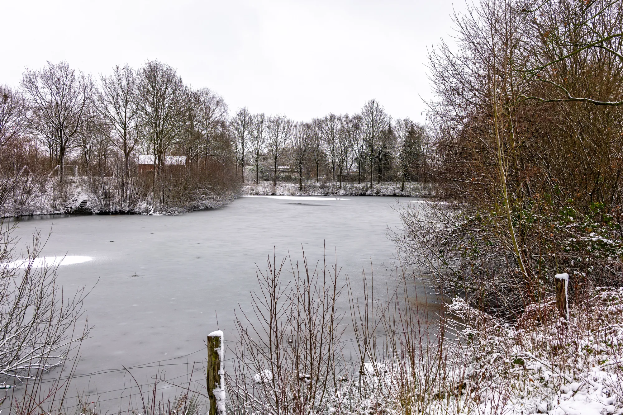 Un lago ghiacciato circondato da alberi innevati, in una giornata d'inverno