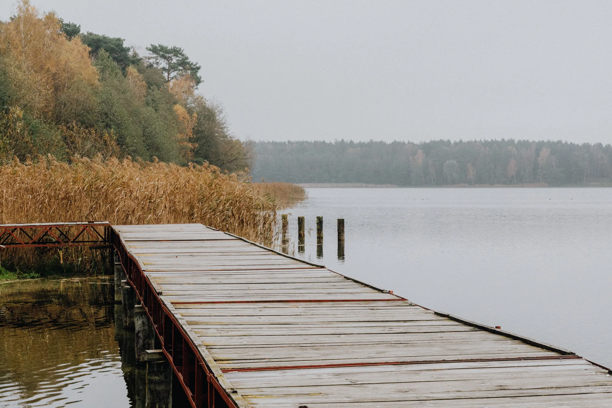 Una riva nella nebbia con un pontile di legno e le foglie d'autunno
