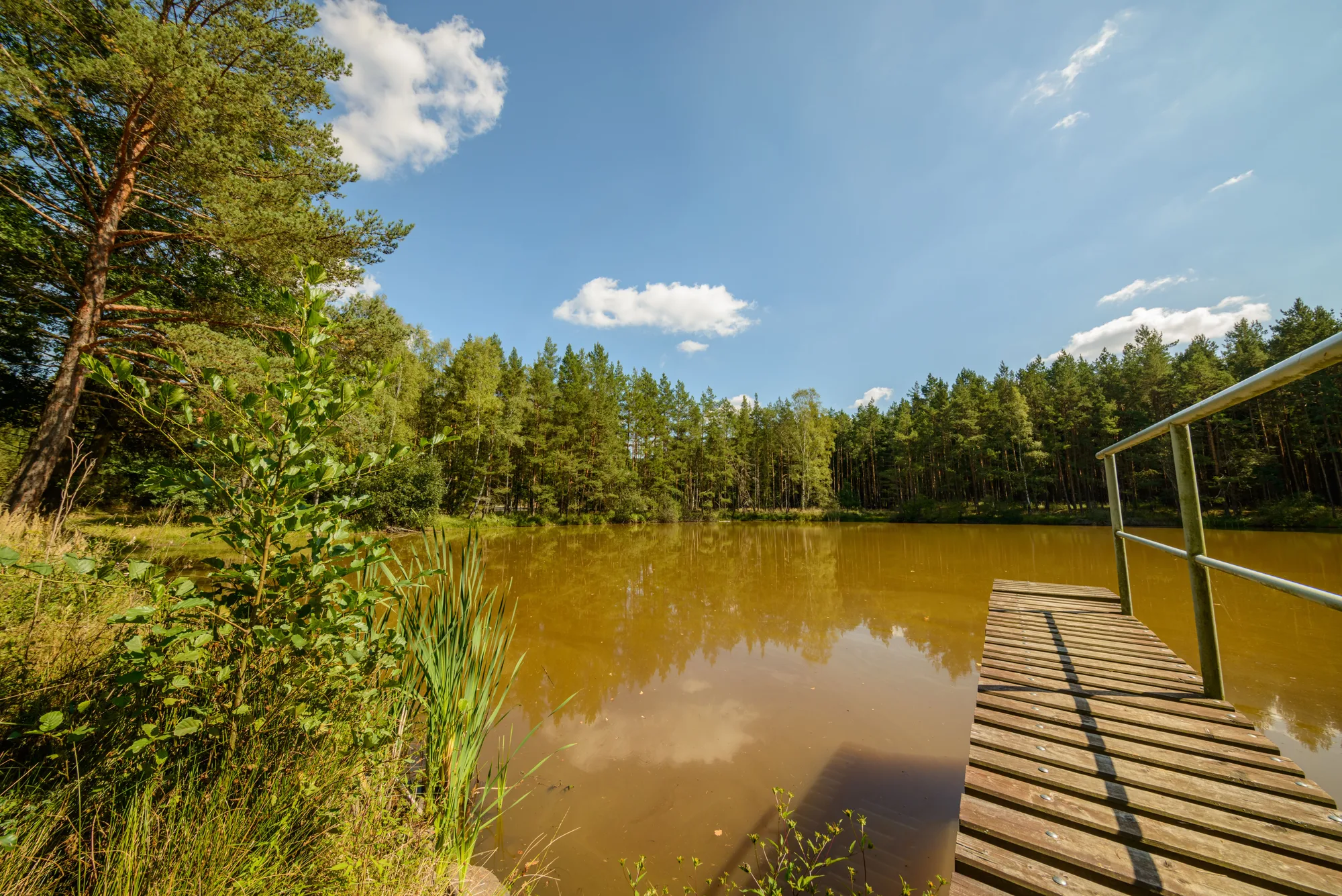 Un lago nel bosco con l'acqua limpida e il cielo azzurro