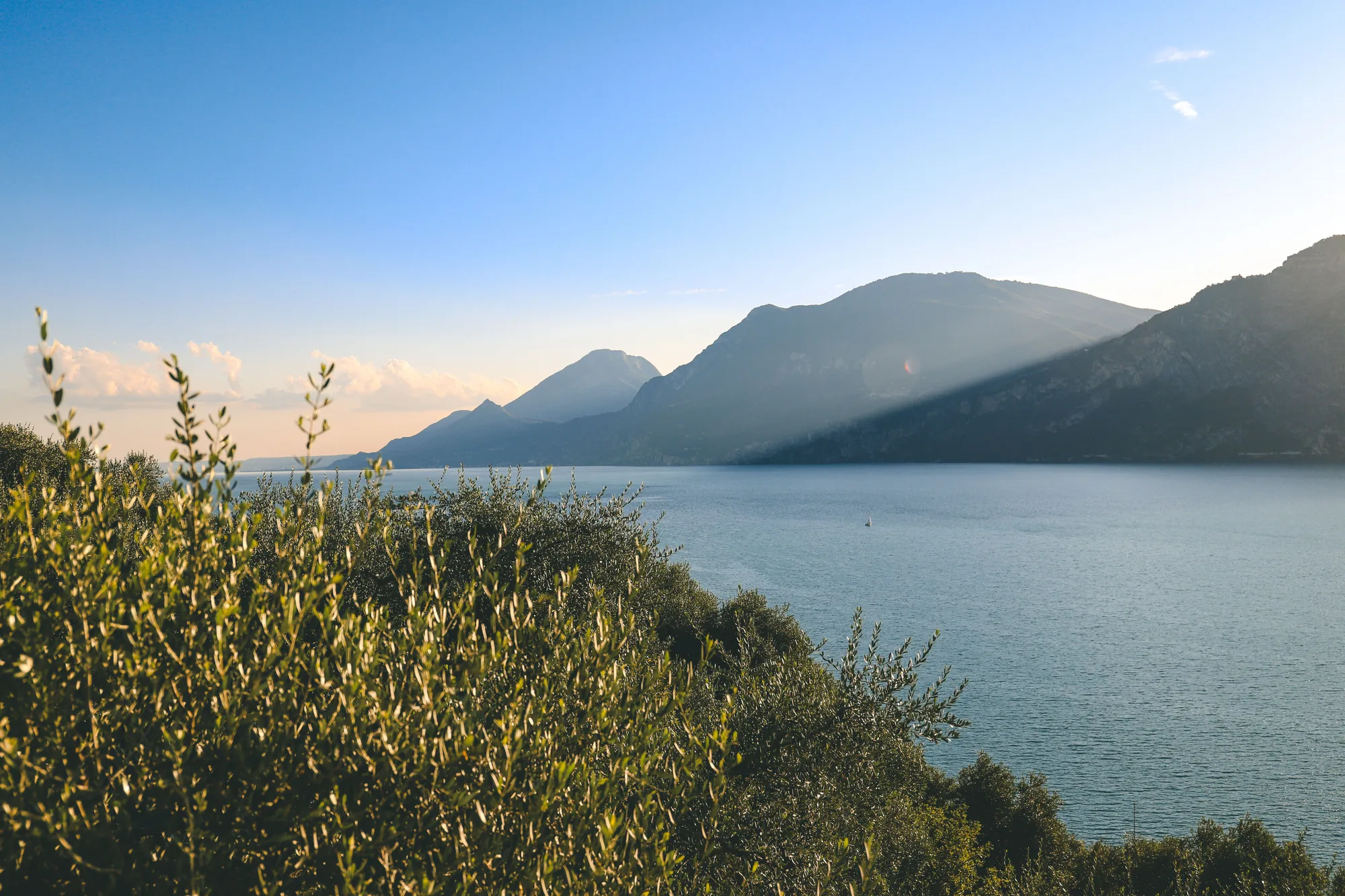 Tramonto sul lago di Garda, con gli ulivi e le montagne