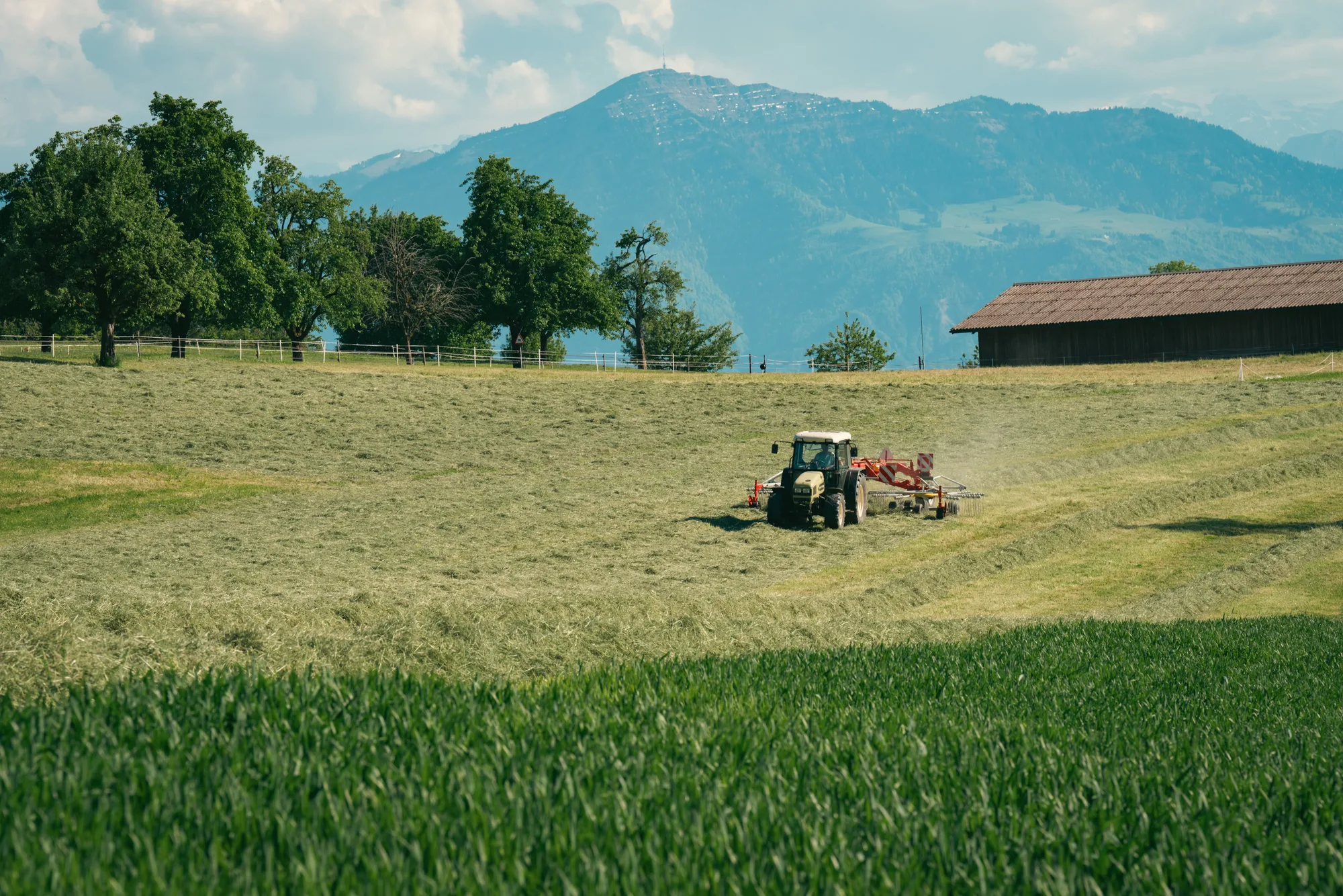 Un trattore rastrella il fieno in un prato di montagna, in una giornata di sole
