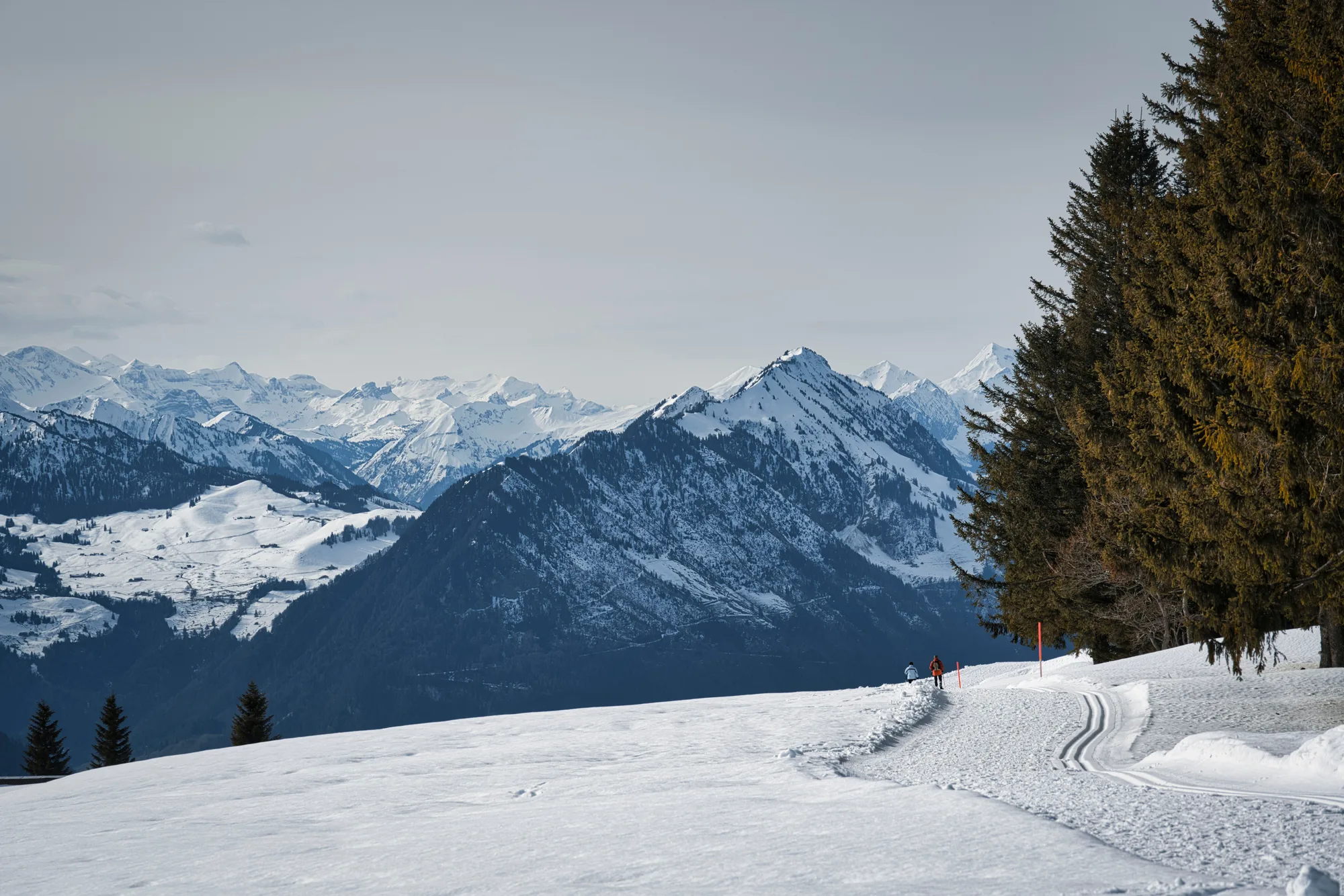Un paesaggio d'inverno con le montagne innevate, una pista e gli abeti