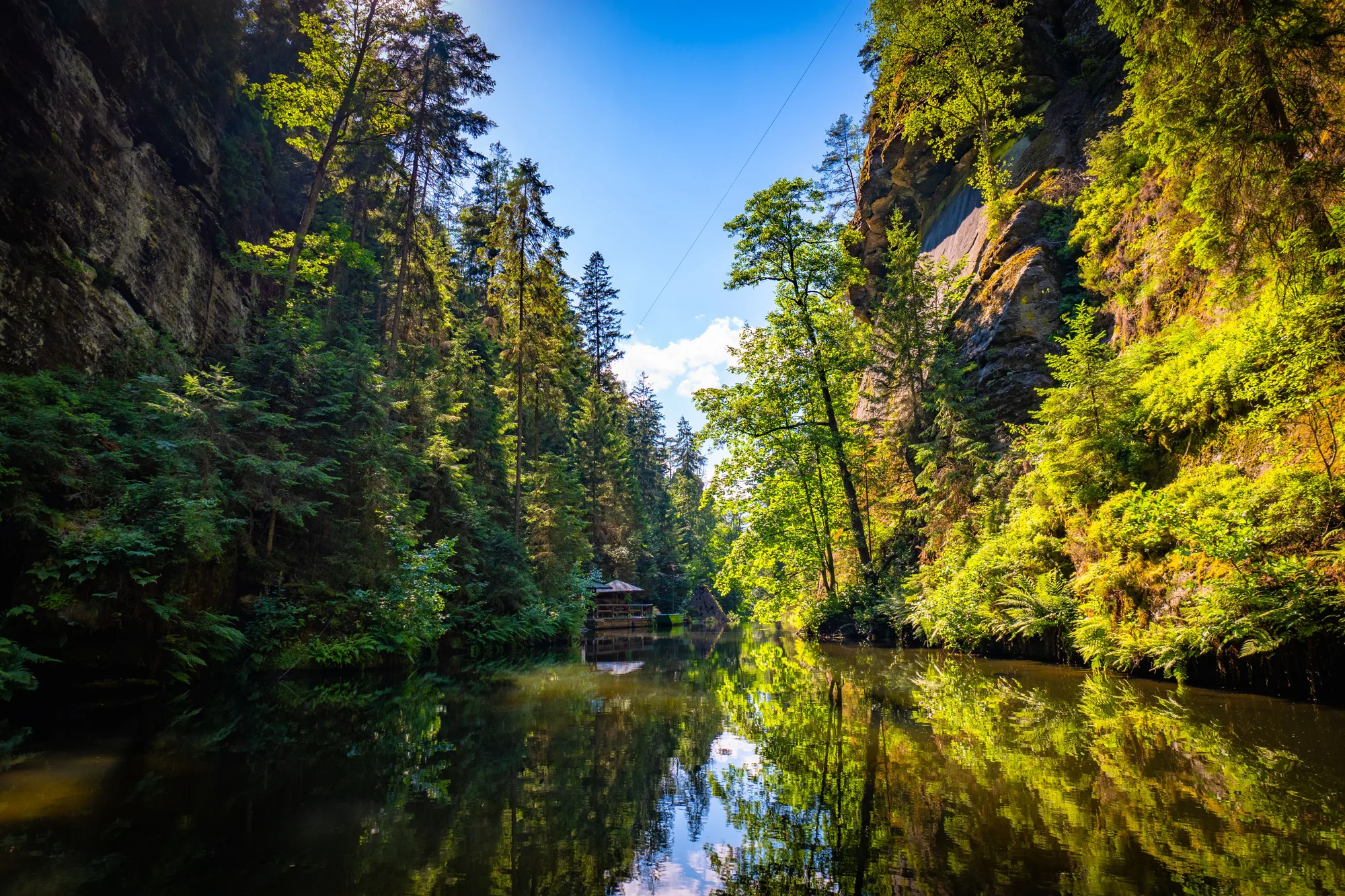 Un canyon di fiume fra il bosco fitto e le pareti di roccia