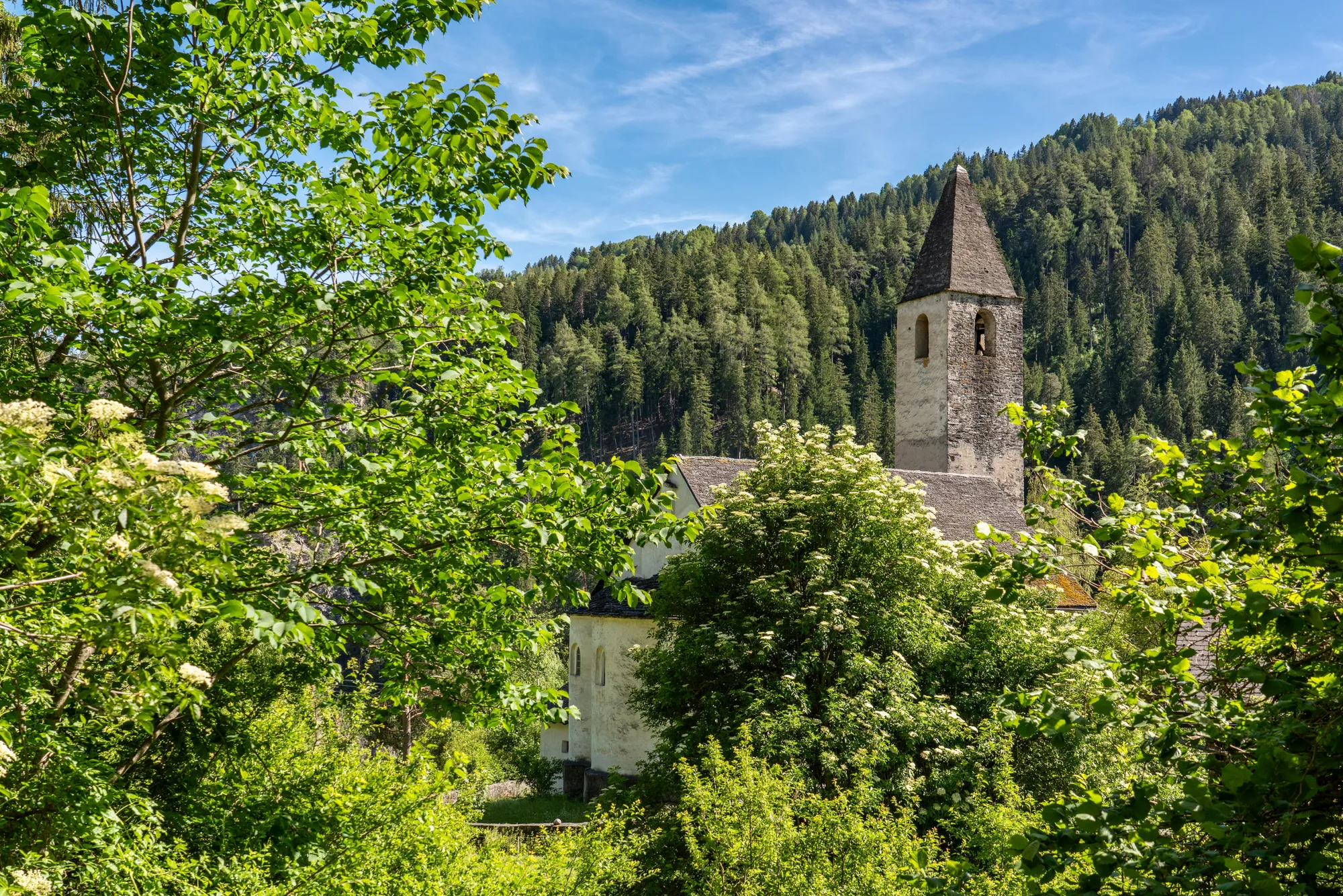 Il campanile di una chiesa fra il verde di un bosco alpino