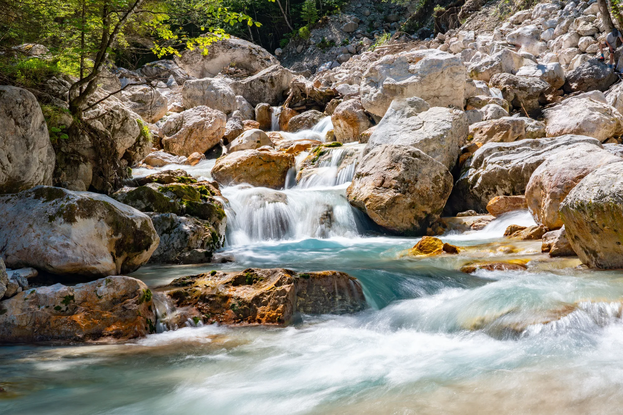 Un torrente di montagna che scende sui sassi levigati, nel bosco