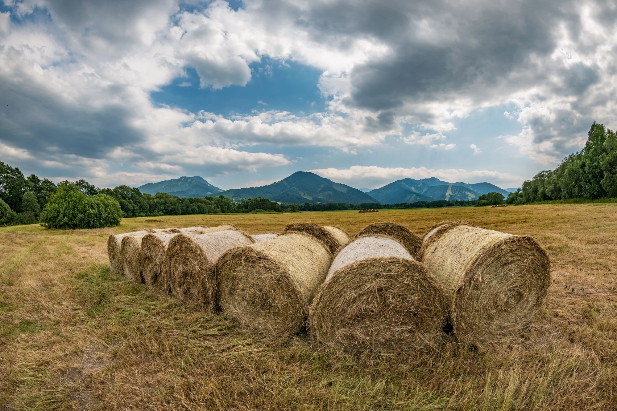 Balle di fieno in un campo ampio, con le montagne sotto un cielo di nuvole
