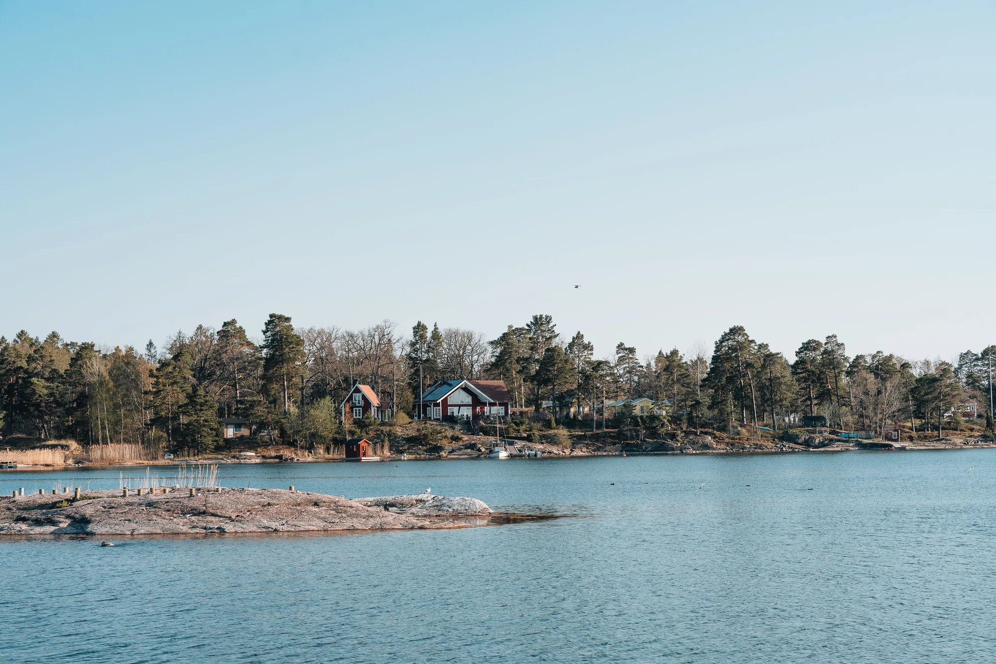 Una riva con case e alberi, e il lago calmo
